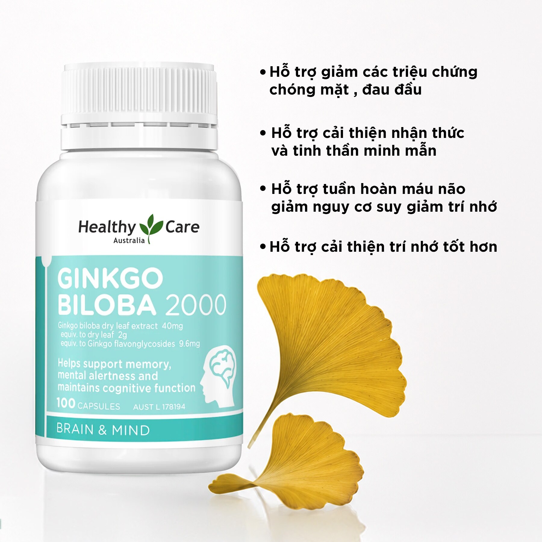 Thực Phẩm Bảo Vệ Sức Khỏe Viên Uống Bổ Não Healthy Care Ginkgo Biloba 2000mg 100 Viên image