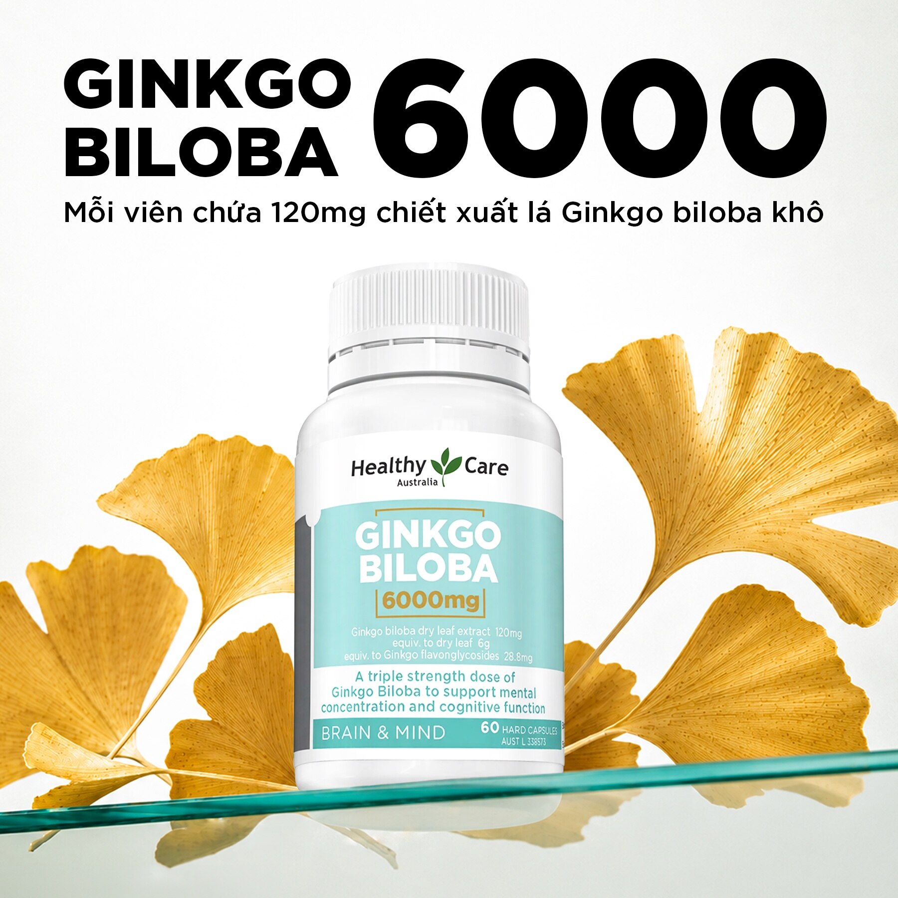 Thực Phẩm Bảo Vệ Sức Khỏe Viên Uống Bổ Não Healthy Care Ginkgo Biloba 6000mg 60 Viên image